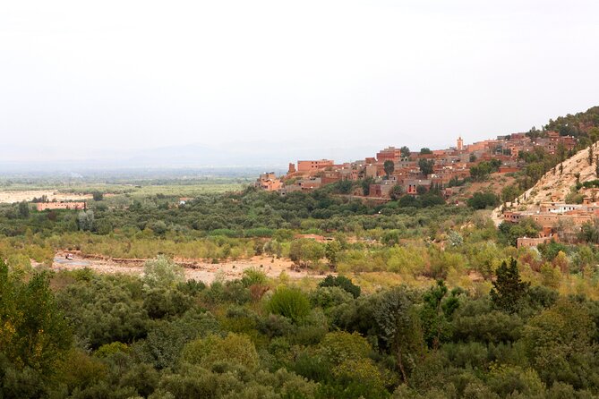 Day Trip to Sidi Fares, From Marrakech Including( Lunch,Breakfast ,Mule Trek,,) - Inclusions: Lunch, Breakfast, Mule Trek, Cooking Class
