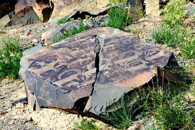 Day Trip to Tanbaly Petroglyphs
