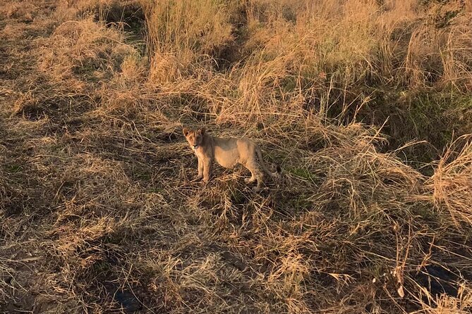 Day Trip to Tarangire National Park From Arusha - Departure From Arusha