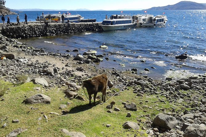Day Trip to the Uros and Taquile Islands From Puno - Itinerary of the Day Trip
