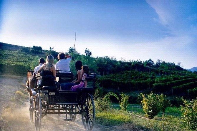 Day Trip: Vinyard Tour By Horse & Carriage+ Lunch + Montefalco And Todi Pr.tour - Tour Details