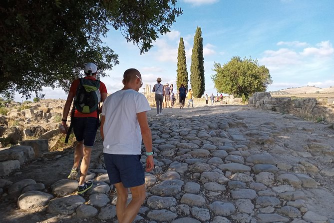 Day Trip Volubilis Moulay Idriss Meknes