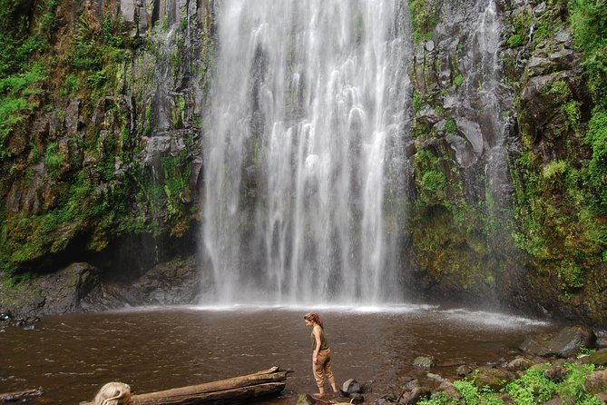 Day Trips COMBO With Materuni, Kikuletwa, Lake Jipe, Maasai Boma &Arusha N. Park - Lake Jipe Wildlife Safari
