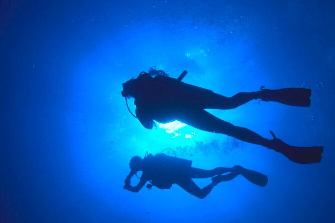 Deep Dive Discovery Scuba Diving in Paracas