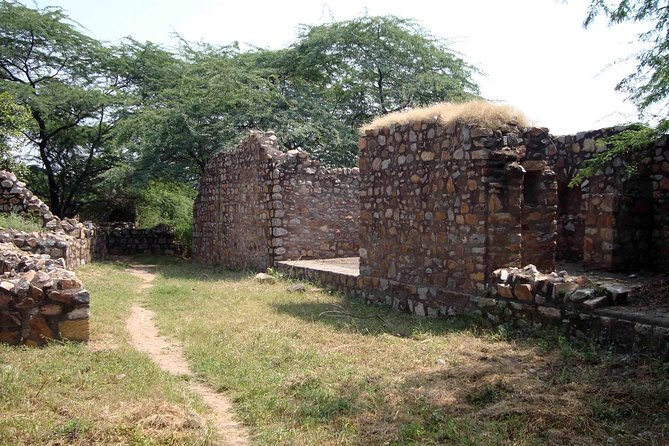 Delhi Archaeological Trails & Its Hidden Relics - Guided Tour Highlights