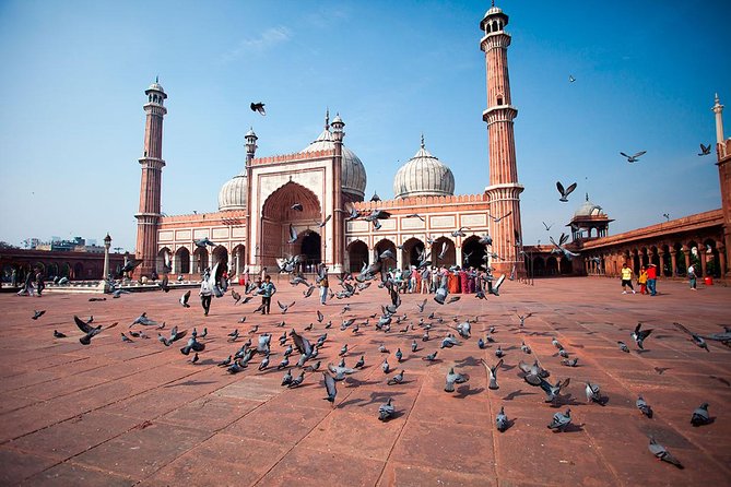 Delhi in One Day - Private Delhi Sightseeing Tour - Logistics