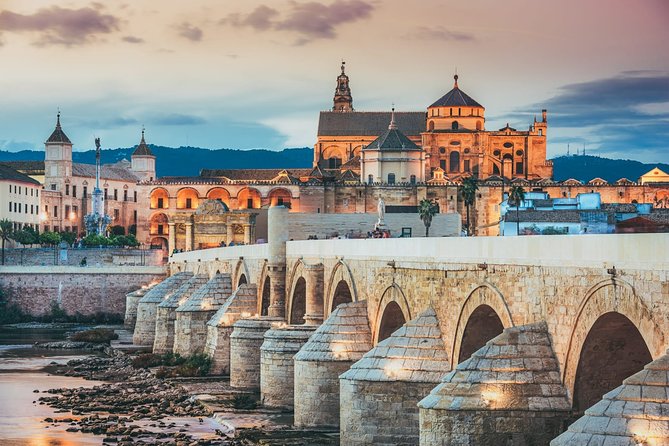 Departure Private Transfers : Santiago to Santiago Airport SCL in Business Car - Overview of Departure Transfers
