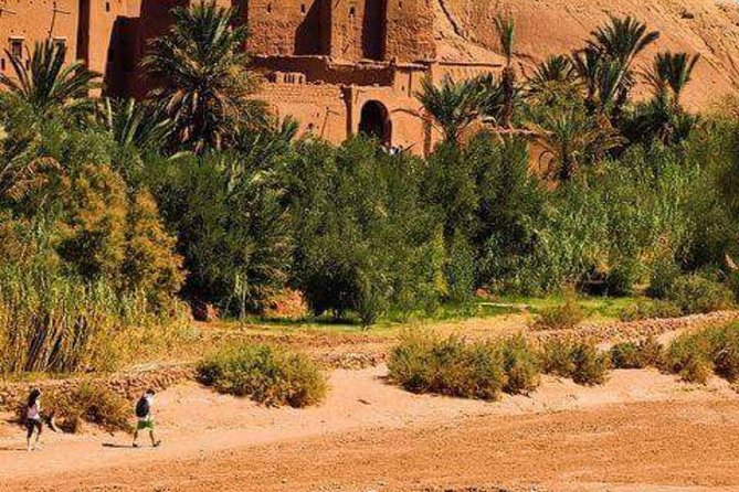 Desert Tours From Casablanca