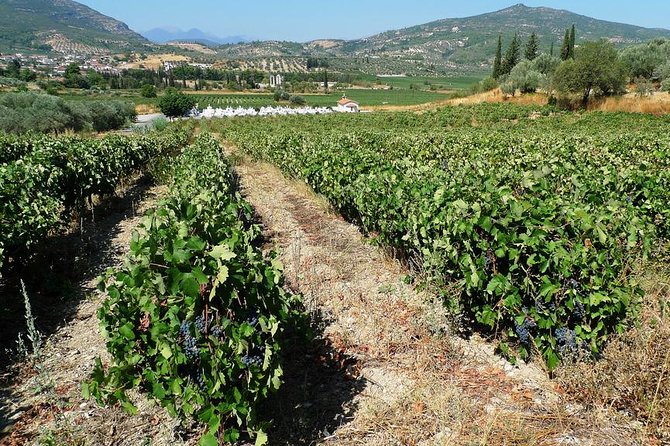 Dionysian Nemea Private Day Excursion - Inclusions