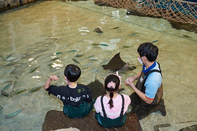 Discounted Entry Ticket for Gwanggyo Aqua Planet (Not Available for Korean Nationals) - Additional Details for Visitors