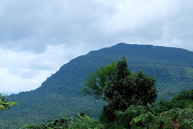 Discover Bokor National Park