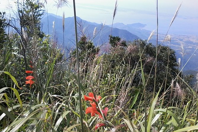 Discover Lotus Farm: an Unexplored Gem of Agricultural & Culinary - Farm Location and Highlights