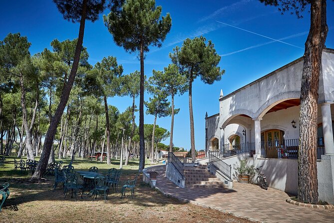 Discover Origin of Red Wine in Ribera Del Duero- Wine Tasting