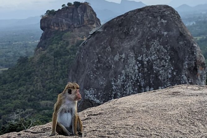 Discover the Essence of Sri Lanka