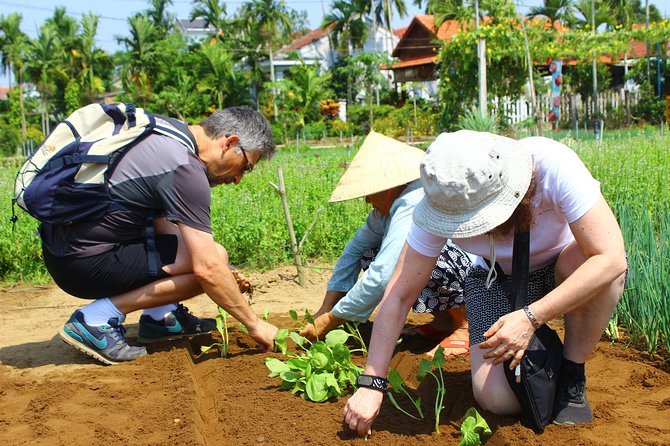 Discover the Rural Life and Cooking Class - Exclusions and Pickup Details