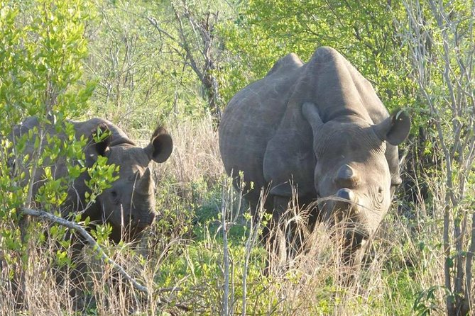 Discover Victoria Falls