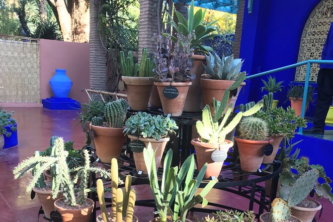 Discovery of the Wonders of Marrakech: Guided Tour