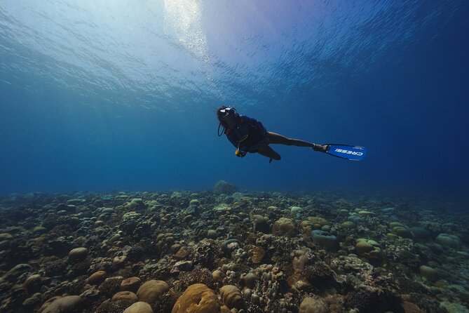Dive Experience Vacation in Fuvahmulah Maldives - Inclusions and Meeting Details