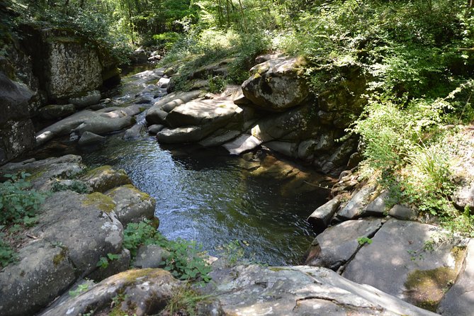 Dive Into the Resco - Meeting Point Address and Details