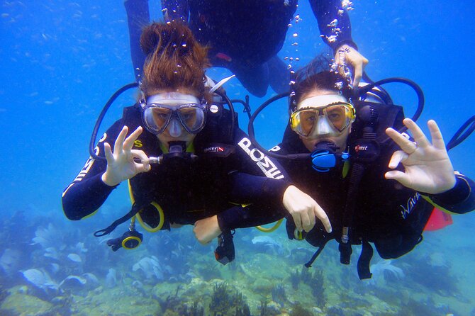 Diving Experience In Buzios