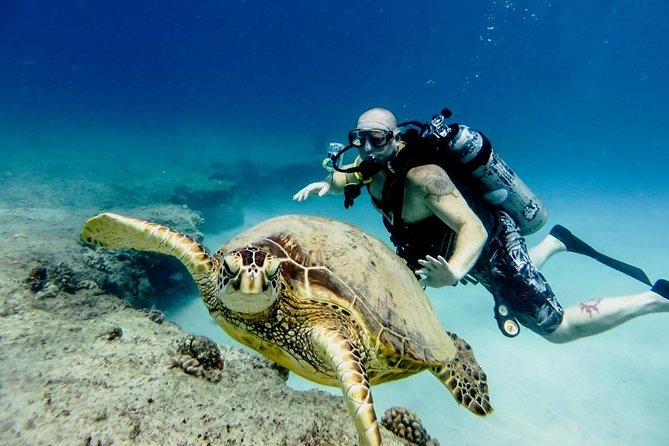 Diving Full Day For Beginners Boat Trip 2 Stops Diving and Lunch – Marsa Alam - Activities and Instructor