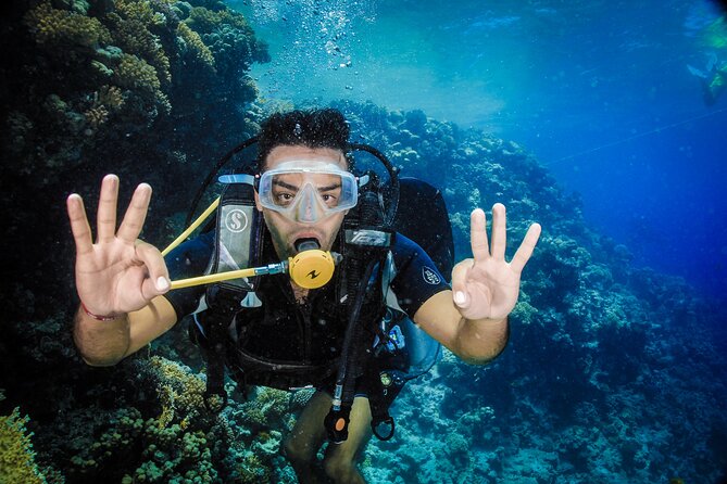 Diving in Hurghada for Beginners With Lunch and Transfer