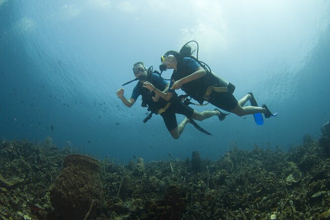 Diving in Rosario Islands Cartagena - Booking Your Dive Adventure