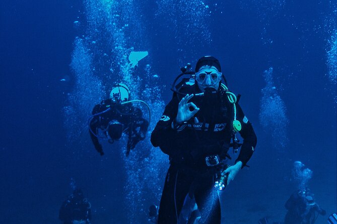 Diving Trip In Sharks Bay - Services Included