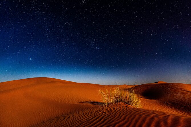 Doha Night Desert Safari Adventure - Overview of the Adventure