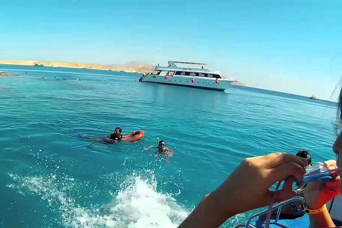 Dolphin House: Swim With Dolphins in Hurghada - Location: Hurghada, Egypt