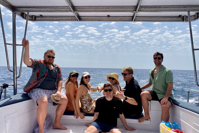 Dolphin Watching in Benalmadena