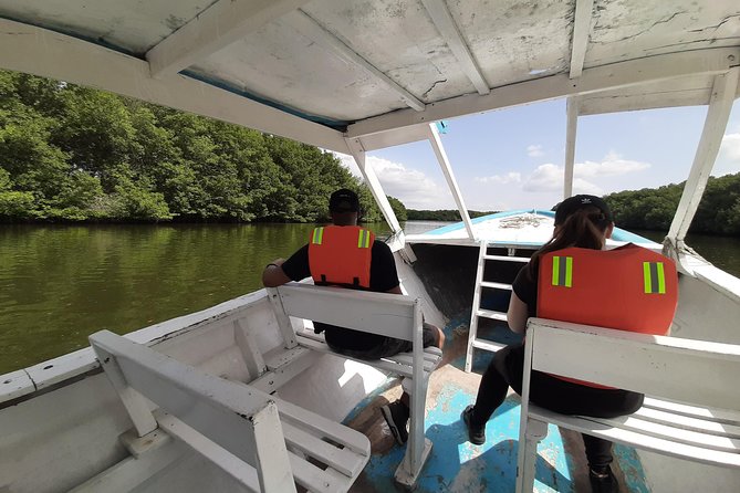 Dolphin Watching in Puerto El Morro From Guayaquil - Whats Included