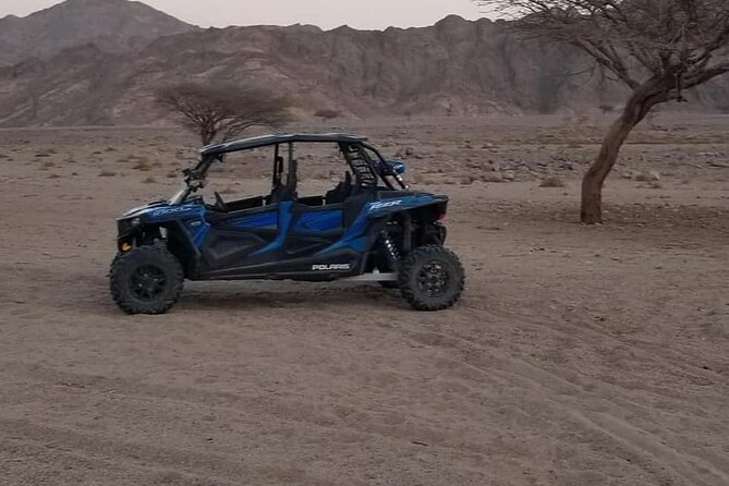 Double Buggy Adventure Desert Safari Tour From Sharm El Sheikh - Pickup and Transfer Details