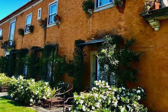 Douro: Walk at Quinta Do Vallado With Lunch and Wine