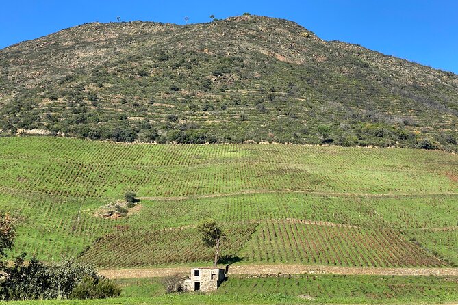 Douro: Walking Tour and Wine Tasting at Quinta Dos Murças - Tour Overview