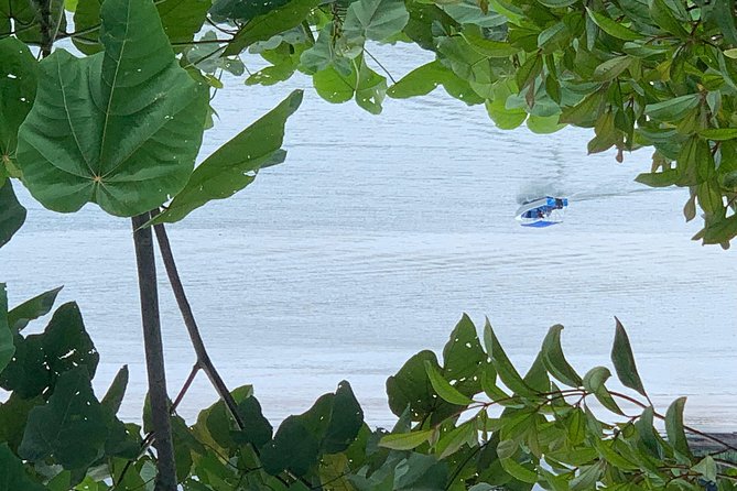 DrakeBay-Sierpe-DrakeBay- Boat Colectivo Transfer - Activity Details