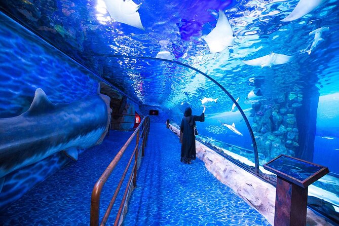 Dubai Aquarium and Underwater Zoo Private Transfers - Additional Information