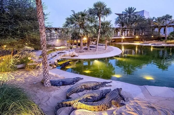 Dubai Crocodile Park Ticket With Optional Private Transfer - Additional Information