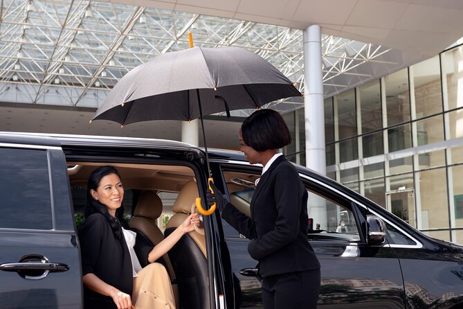 Dubai Half Day Transportation With Professional Driver