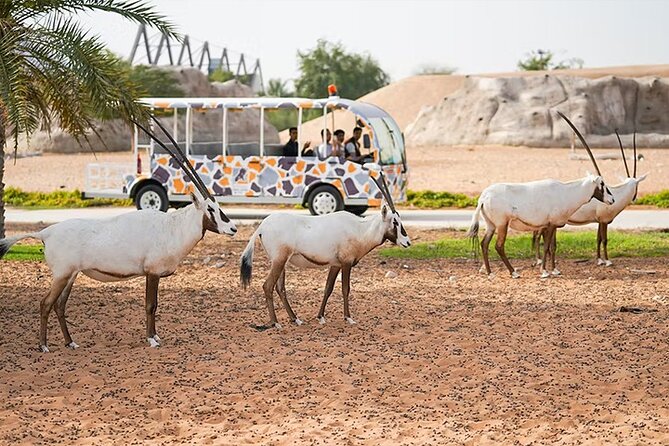 Dubai Safari Park Entry Tickets