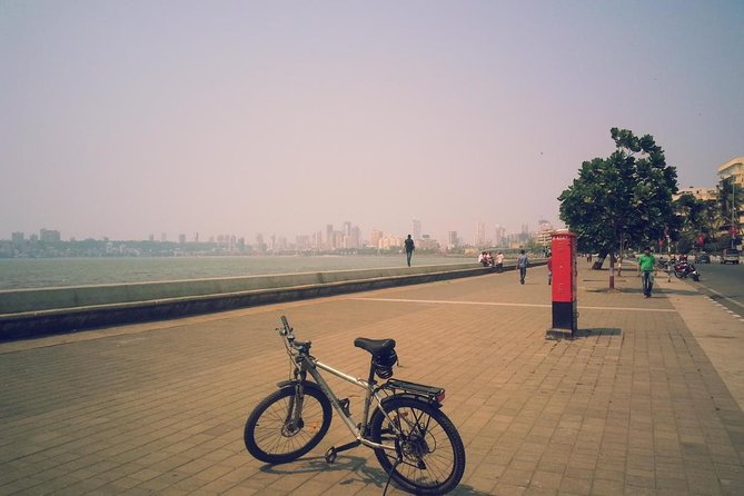 Early Morning Private Bicycle Tour of Mumbai Highlights - Tour Inclusions