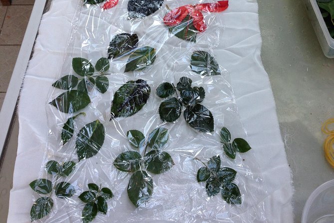 Eco Printing & Natural Dyeing Technique - Natural Dyeing Materials and Techniques