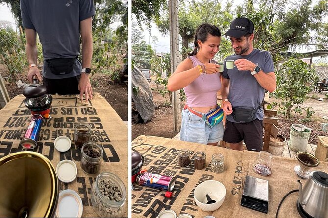 Eco Tour: Organic Coffee, Avocados, Honey & More! - Tour Location and Provider Details