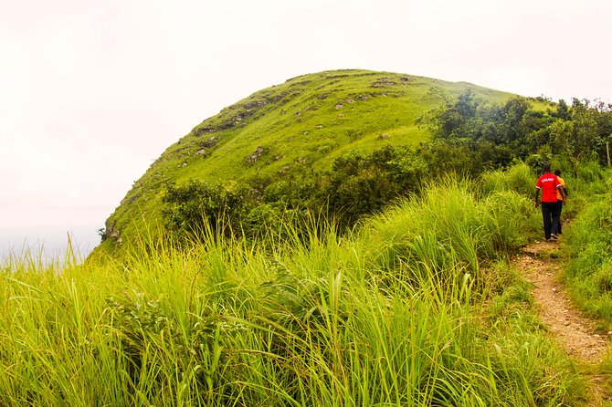 Eco Volta Expedition Tours - Pickup Information