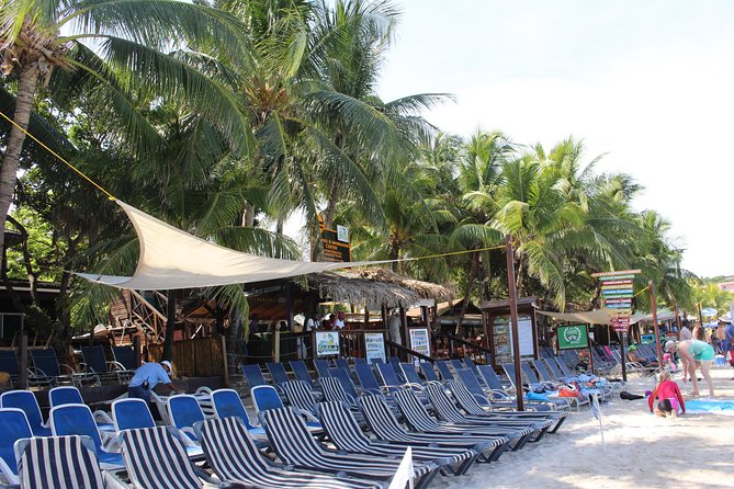 EcoWalk and Beach Trip Combo