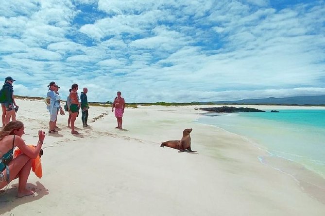 Ecuadorian Adventure Quito – Galápagos Islands 8 Days 7 Nights