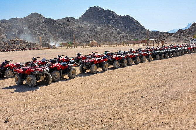 El Gouna Morning Quad Bike Safari