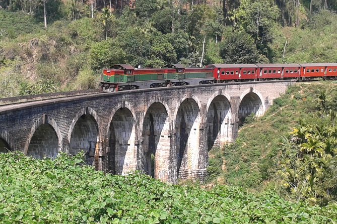 Ella Attraction's Ella Rock, Little Adam's Peak, Nine Arches Bridge in One Day - Tour Overview