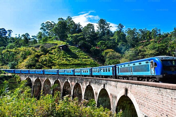 Ella Day Trip With Train Ride & Tea Factory - All Inclusive - Inclusions and Exclusions