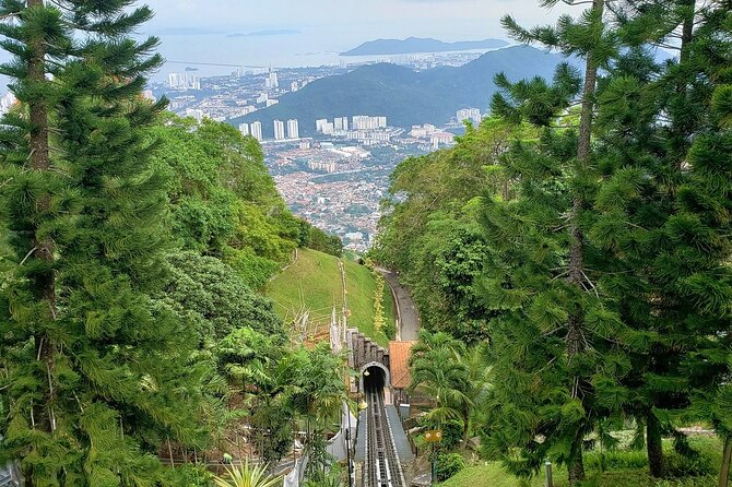 Enjoy Full Day in Orang Utan & Mangrove Forest - Penang